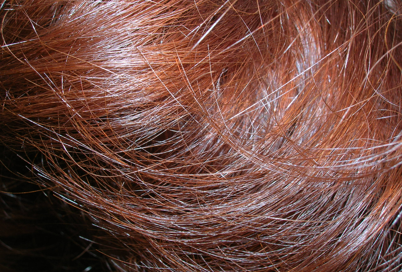 Brown red hair, close up. Hair follicles, hair strands, zoomed in hair, messy hair.